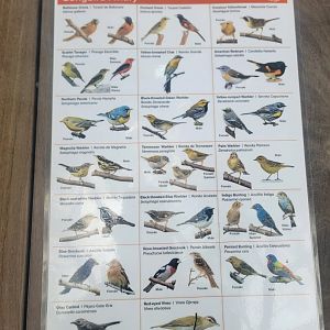 Bird House - Updated Coffee Farm Aviary Species Guide