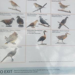 Bird House - Updated Coffee Farm Aviary Species Guide