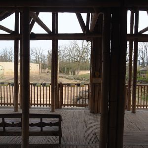 Interior of Asian elephant viewing lodge, 2023-03-28