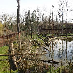 Barbary macaque exhibit seen from upper viewing platform, 2023-03-28