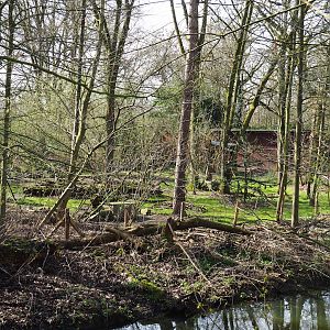 Bush dog exhibit, seen from exit area of the African section, 2023-03-28