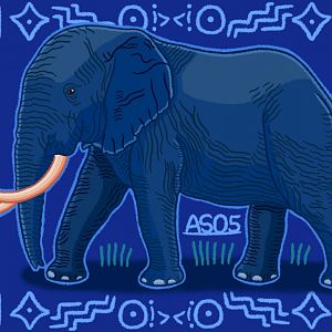 African Bush Elephant