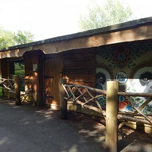 Lar gibbon exhibit 170524