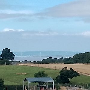 View From Rhino House