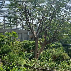 Butterfly Dome Exhibit