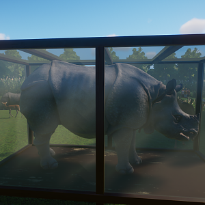 Planet Zoo - Museum Exhibit Case Testing