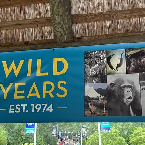 50 Wild Years Banner on Africa Bridge