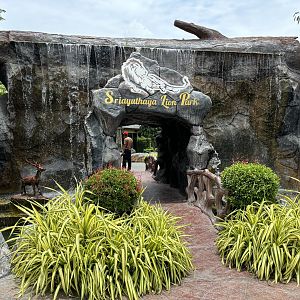 Entrance Area - Lion Park