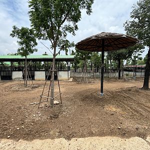 Giraffe/Zebra Exhibit - Lion Park