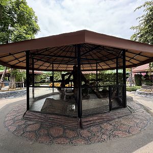 Coati Exhibit #1 - Lion Park