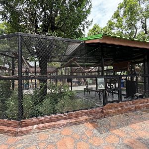 Black-and-white Ruffed Lemur Exhibit - Lion Park