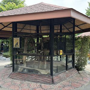 Red-handed Tamarin Exhibit - Lion Park