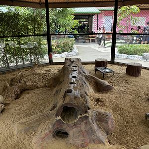 Meerkat Exhibit - Lion Park