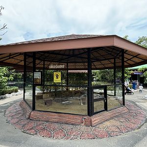 Meerkat Exhibit - Lion Park