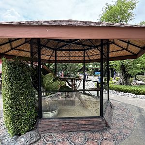 Sand Cat Exhibit - Lion Park