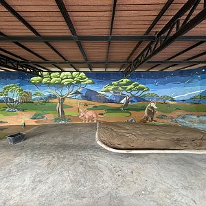 Aardvark Exhibit - Lion Park