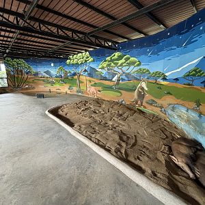 Aardvark Exhibit - Lion Park