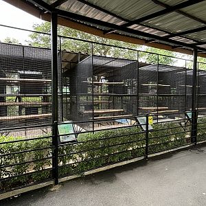 Small Mammal Cages - Lion Park