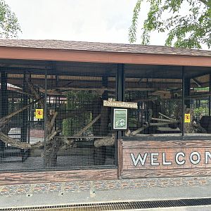 Cotton-top Tamarin Exhibit - Lion Park