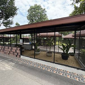 Lesser Chevrotain Exhibit - Lion Park