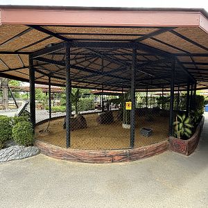 Red-necked Wallaby Exhibit - Lion Park