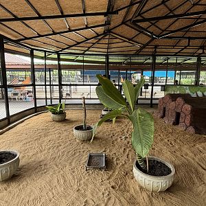 Bat-eared Fox Exhibit - Lion Park
