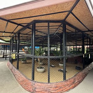 Bat-eared Fox Exhibit - Lion Park