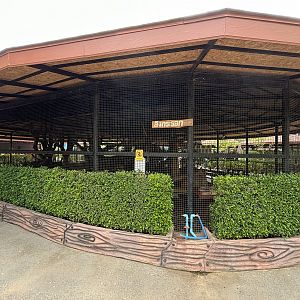 Squirrel Monkey Exhibit - Lion Park