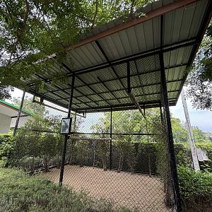 Harris’s Hawk Aviary - Lion Park
