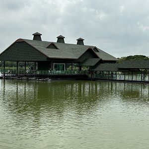Zoo Lake - Sriayuthaya Lion Park
