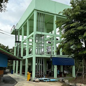 Odd Green Tower - Lion Park