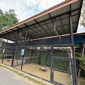 Macaw Aviaries - Lion Park