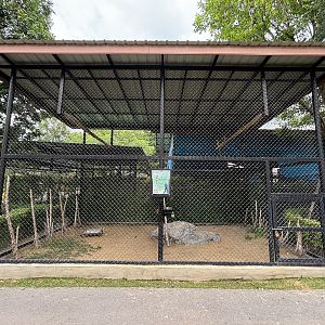 Macaw Aviary - Lion Park