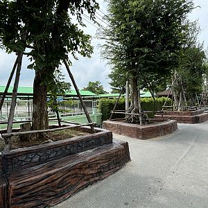 Zoo Benches - Lion Park