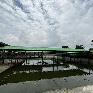 Croc Pools Zone - Lion Park