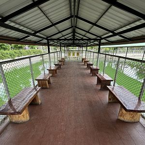 Croc Pools Zone - Lion Park