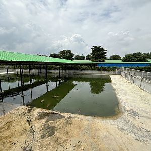 Croc Pools Zone - Lion Park