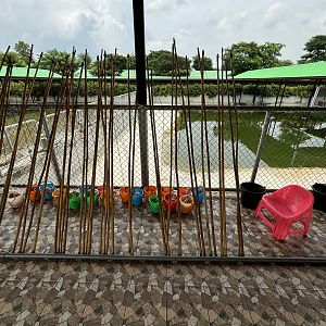 Public Croc Feeding Area - Lion Park