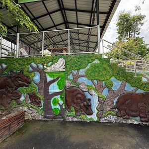 Hippo Walkway - Lion Park