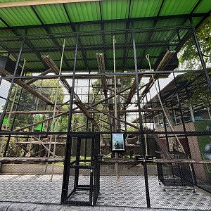 Campbell’s Mona Monkey Exhibit - Lion Park