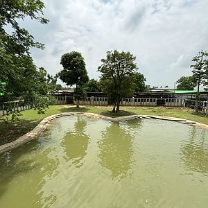 Common Hippo Exhibit - Lion Park