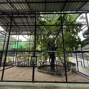 Bearded Saki Exhibit - Lion Park