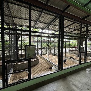 Assorted Aviaries - Lion Park