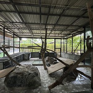 Python Exhibit - Lion Park