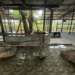 Green Anaconda Exhibit - Lion Park