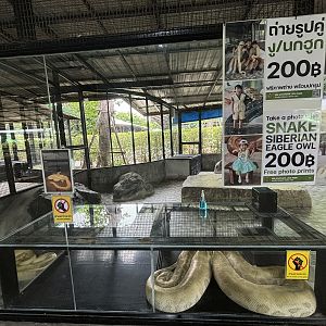 Public Snake Handling Zone - Lion Park