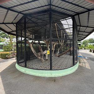 Colobus Monkey Exhibit - Lion Park