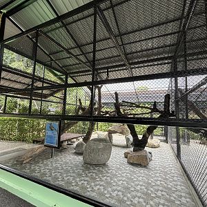 Two-toed Sloth Exhibit