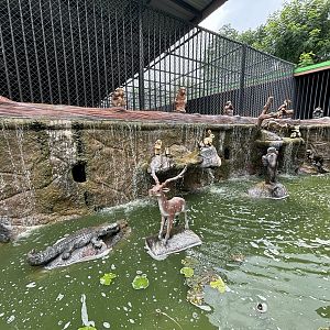 Animal Statue Pond Area - Lion Park