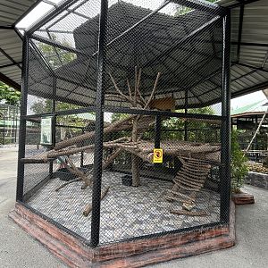 Binturong Exhibit - Lion Park